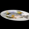 VLP 500 VITAL LEVEL Oval platter ''Vital Level'' 50 cm